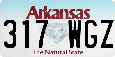 AR license plate 317WGZ