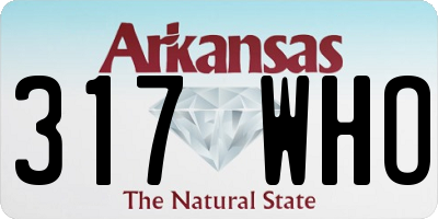 AR license plate 317WHO