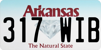 AR license plate 317WIB