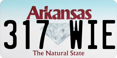 AR license plate 317WIE