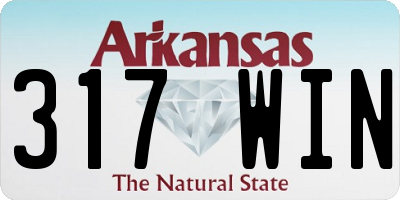 AR license plate 317WIN