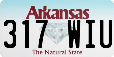 AR license plate 317WIU