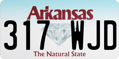 AR license plate 317WJD