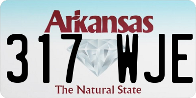 AR license plate 317WJE