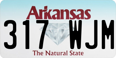 AR license plate 317WJM