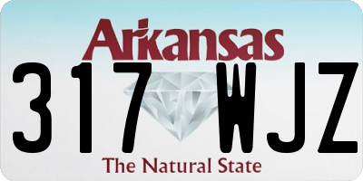 AR license plate 317WJZ