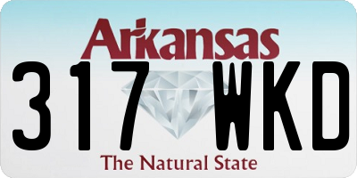 AR license plate 317WKD