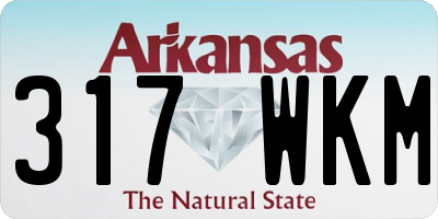 AR license plate 317WKM
