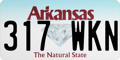 AR license plate 317WKN