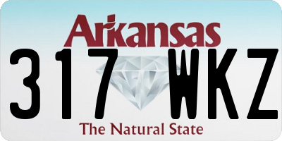 AR license plate 317WKZ