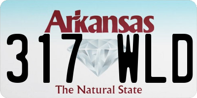 AR license plate 317WLD