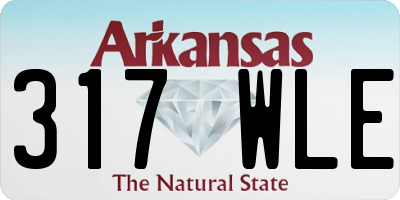 AR license plate 317WLE