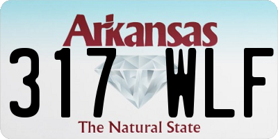 AR license plate 317WLF