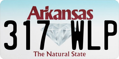 AR license plate 317WLP