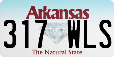 AR license plate 317WLS