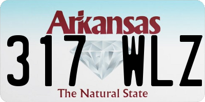 AR license plate 317WLZ