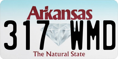 AR license plate 317WMD