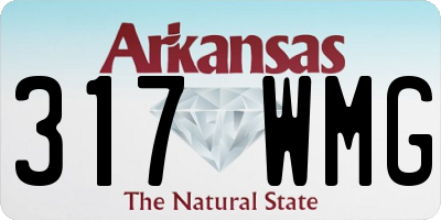 AR license plate 317WMG