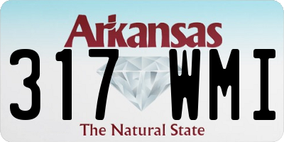 AR license plate 317WMI