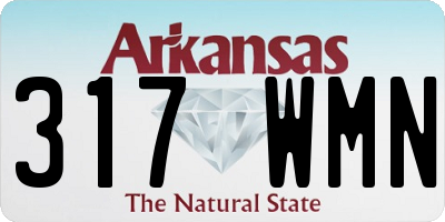 AR license plate 317WMN
