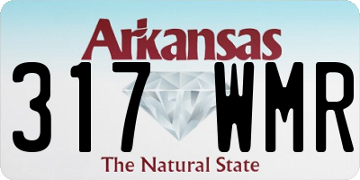 AR license plate 317WMR