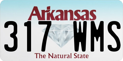 AR license plate 317WMS