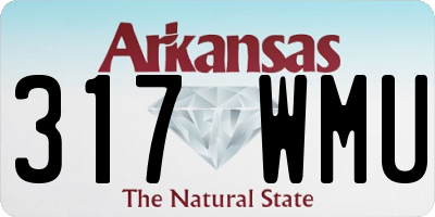 AR license plate 317WMU