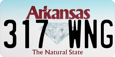 AR license plate 317WNG