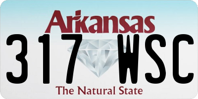 AR license plate 317WSC