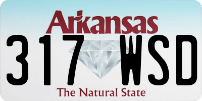 AR license plate 317WSD