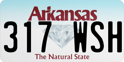 AR license plate 317WSH