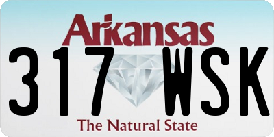 AR license plate 317WSK