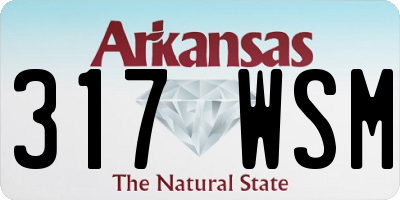 AR license plate 317WSM