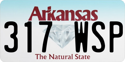 AR license plate 317WSP
