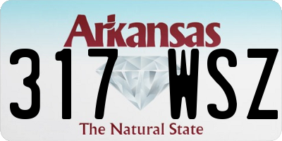 AR license plate 317WSZ