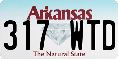 AR license plate 317WTD