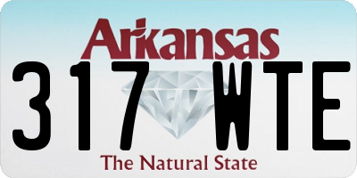 AR license plate 317WTE