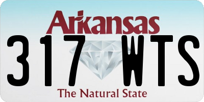 AR license plate 317WTS