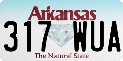 AR license plate 317WUA