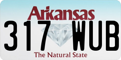 AR license plate 317WUB