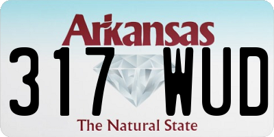 AR license plate 317WUD