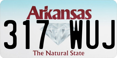 AR license plate 317WUJ