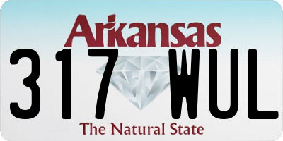 AR license plate 317WUL