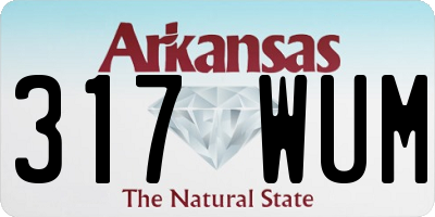AR license plate 317WUM