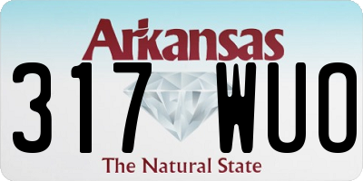 AR license plate 317WUO