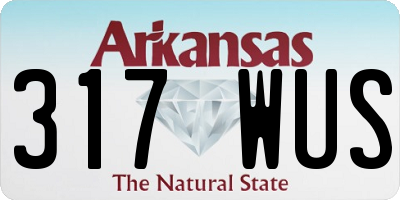 AR license plate 317WUS