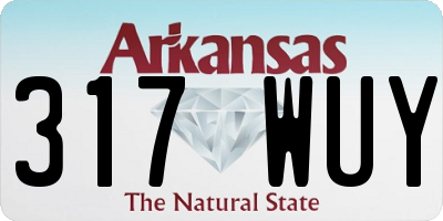 AR license plate 317WUY