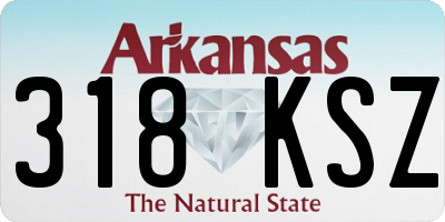 AR license plate 318KSZ