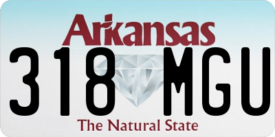 AR license plate 318MGU