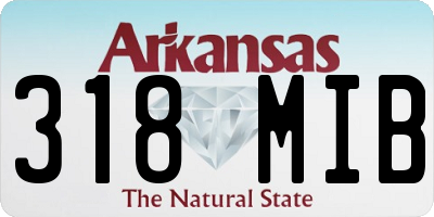 AR license plate 318MIB